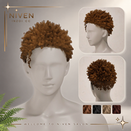 Niven Hair 17 - Aaron Hair (Males) logo