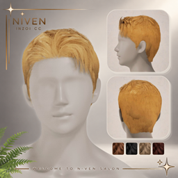 Niven Hair 18 - Jacinto Hair (Males) logo