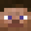 The Steve logo