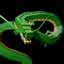 Dragon Ball - Shenron Summon logo