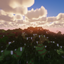 Pedra Shader logo
