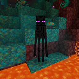 Super Simple Enderman AntiGrief project image