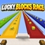 Lucky Blocks Race Challenge logo