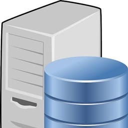 Modded sever logo