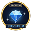 Pro Item Forever logo