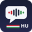 DBM Voicepack Magyar logo