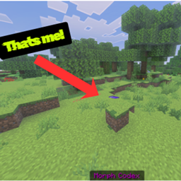 Morph Mastery: Block Hide & Seek