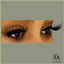 Am I The Drama -- Eyelashes logo