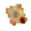 doommarket logo