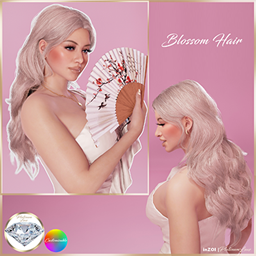 PL | Blossom Hair  project image