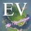 Evelite The Nostalgia logo