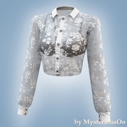 Sheer lace button blouse logo