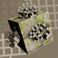 Infested! logo