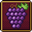 Terroir: The Wine Mod logo