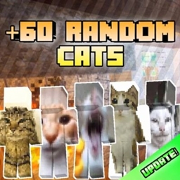 HD Viral cats memes appearances project image