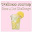 Wellness Journey | Lot Challenge logo