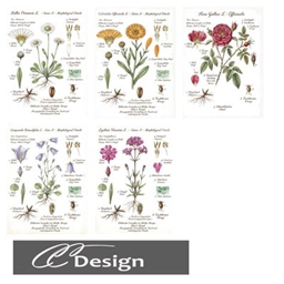 Botanical Prints logo