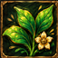 OnlyHerbs logo