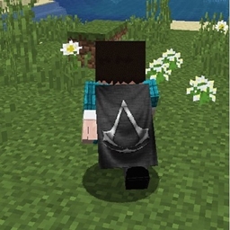 TL skin and cape - Minecraft Mod - Modpack Index