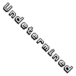 Undetermined project image