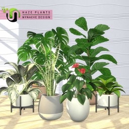 Haze Plants project image