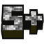 Silverfish Expansion logo