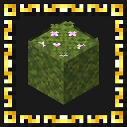 Better Moss project image