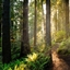 A natural world logo