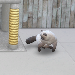Pet Shelter & Pet Breeding – Paws & Hooves project image