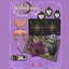whimsimoon logo