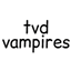 TVD: Vampires, Witches & Werewolves logo