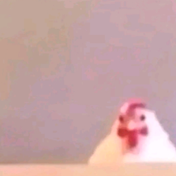 The Bonkers logo