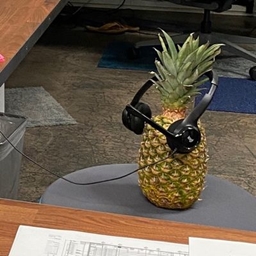 Pineaepple Reloaded