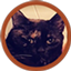 StormxUI Forever logo