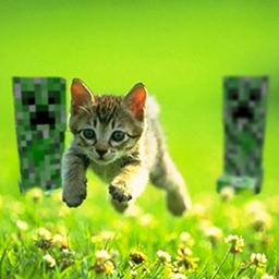 EvAn's Forever World Pack logo