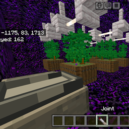 Lu’s Herb project image
