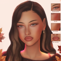 toasty makeup collection logo