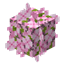 Optimized Bushy Leaves logo