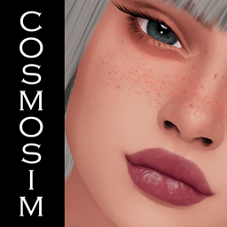 Stellar Palette Lipstick N17 project image