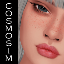 Stellar Palette Lipstick N19 project image