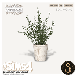 Sims4Luxury - Farmhouse - Boxwood project image