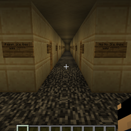 The Labyrinth of Despair