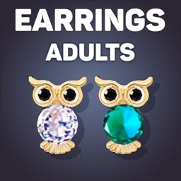 Owl Stud Earrings project image