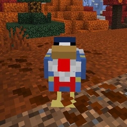 Chickens & Stuff logo