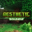 Aesthetic Sounds - Better Sounds logo