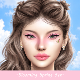 Blooming Spring Make Up Set project image