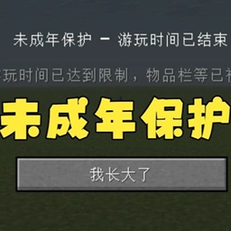 未成年保护 Protection of minors 