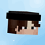 Fancy Player Animation logo