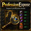 ProfessionExpose logo