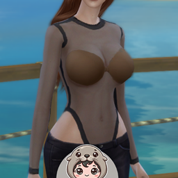 Chub_Seal_LaceBodySuit+Stick-On-01 logo
